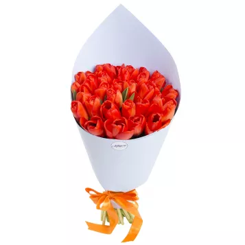 31 оранжевый тюльпан