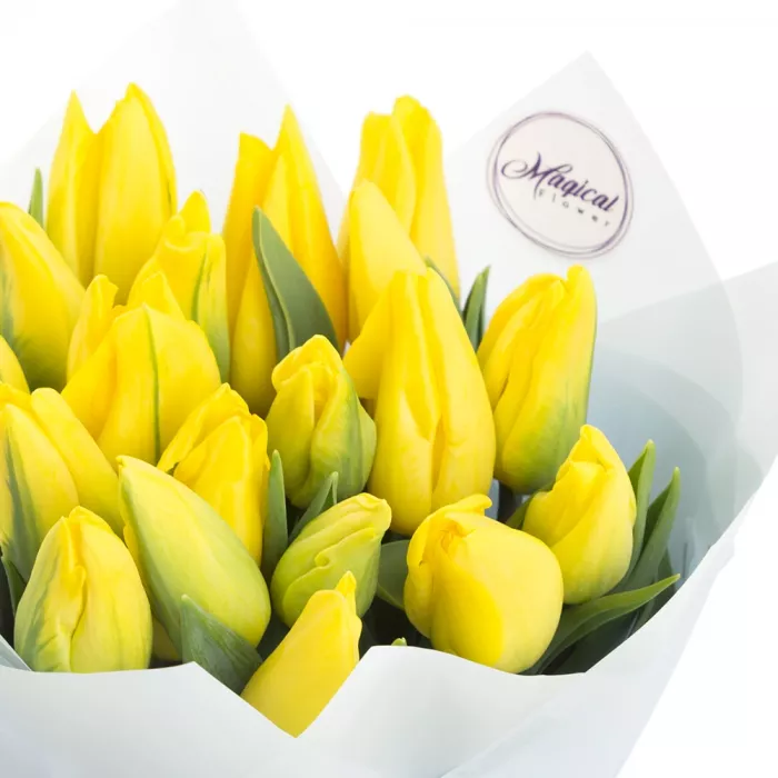 19 желтых тюльпанов