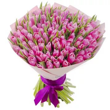 101 розовый тюльпан