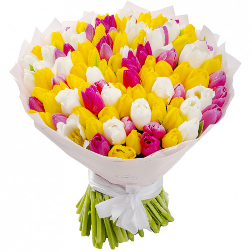 Букет из 101 тюльпана разных цветов
