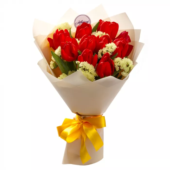 11 красных тюльпанов со статицей