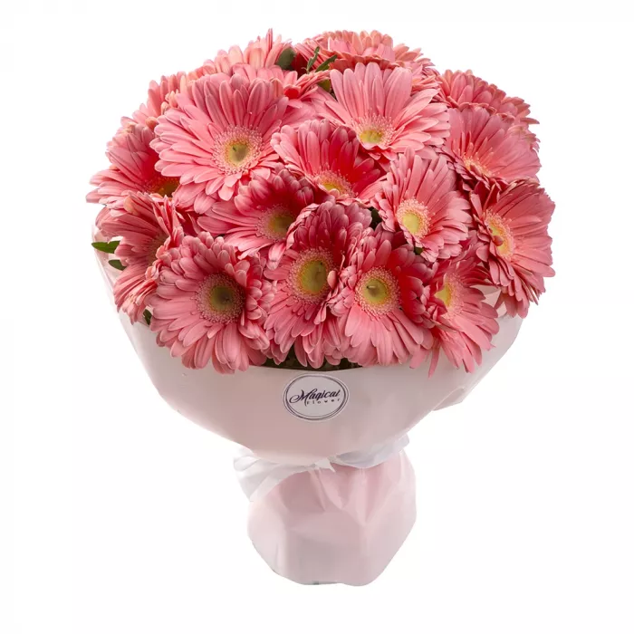 21 розовая гербера