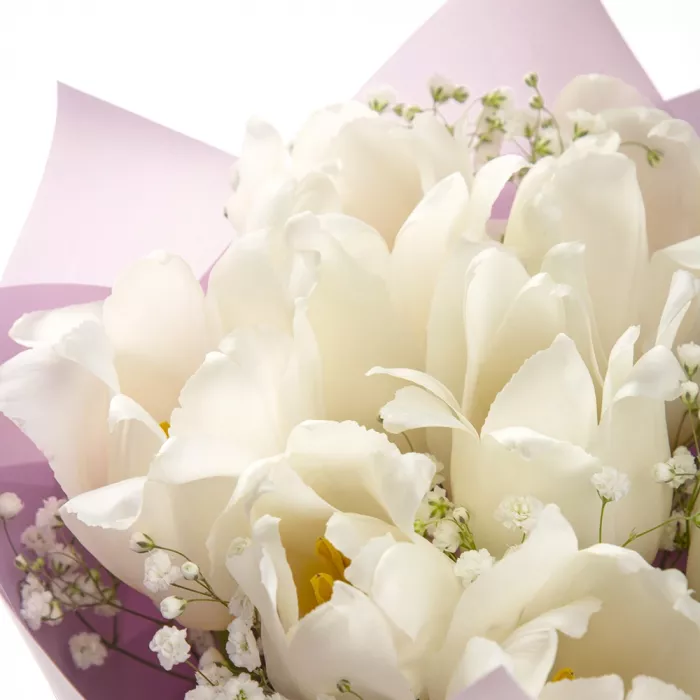 7 белых тюльпанов