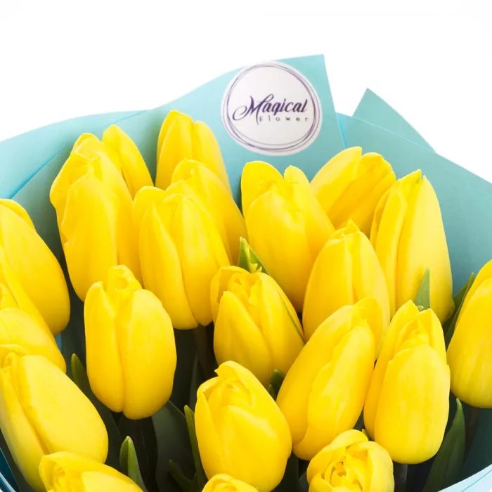 21 желтый тюльпан