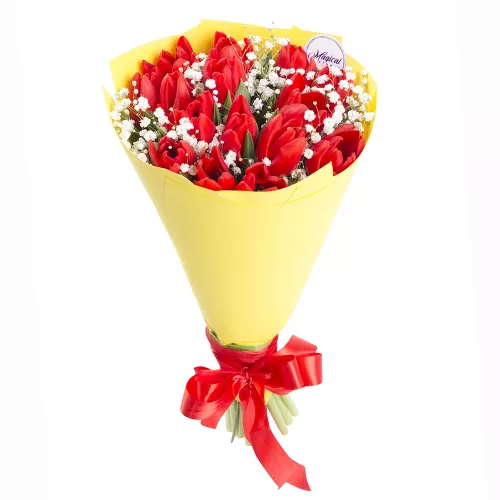 Букет из 15 красных тюльпанов