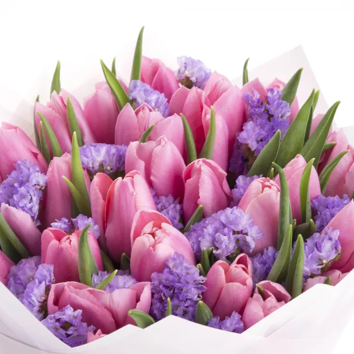 25 розовых тюльпанов со статицей