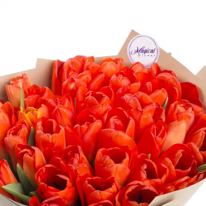 35 оранжевых тюльпанов 35 оранжевых тюльпанов
