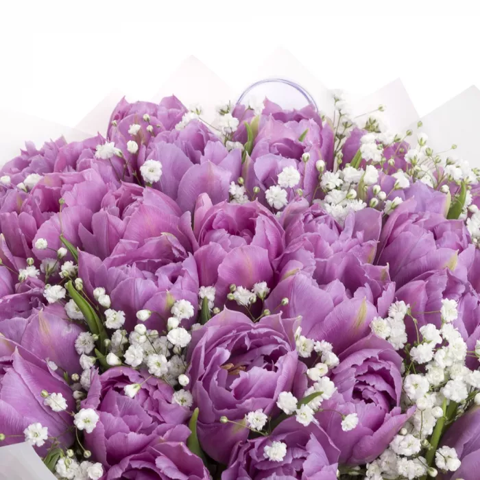 29 фиолетовых тюльпанов с гипсофилой