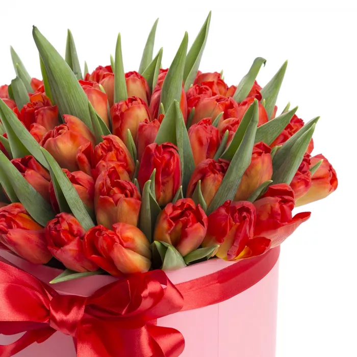 51 оранжевый тюльпан в шляпной коробке