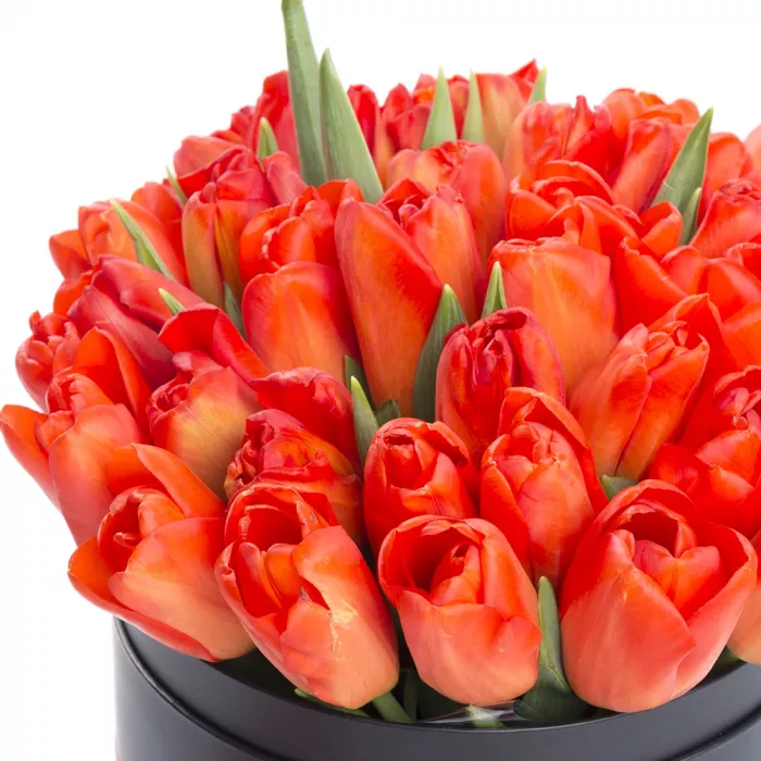 35 оранжевых тюльпанов в шляпной коробке