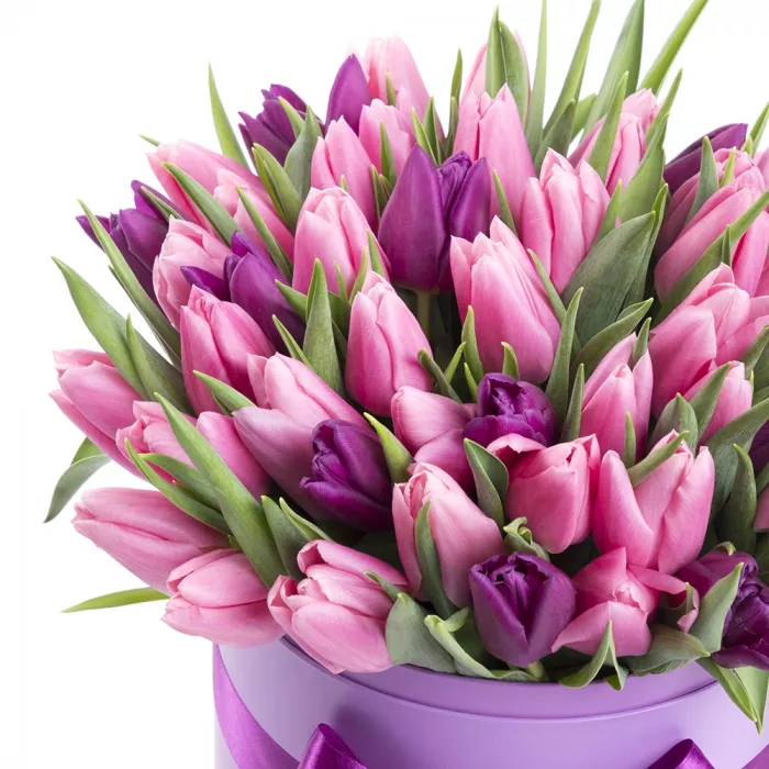 51 разноцветный тюльпан в шляпной коробке