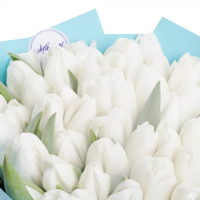 Букет из 51 белого тюльпана