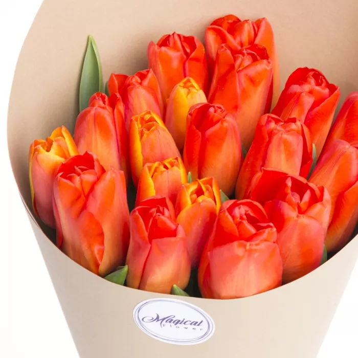 19 оранжевых тюльпанов