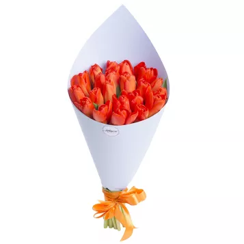 21 оранжевый тюльпан