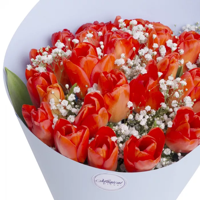 Букет из 25 оранжевых тюльпанов с гипсофилой