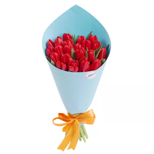 Букет из 21 красного тюльпана