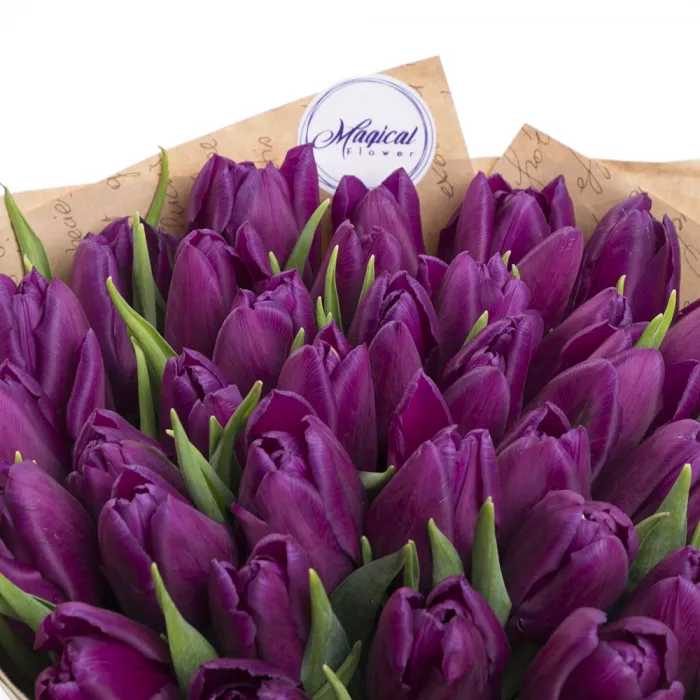 Букет из 35 сиреневых тюльпанов