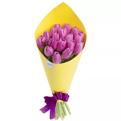 19 фиолетовых тюльпанов