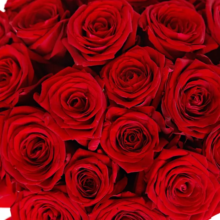 25 роз в шляпной коробке