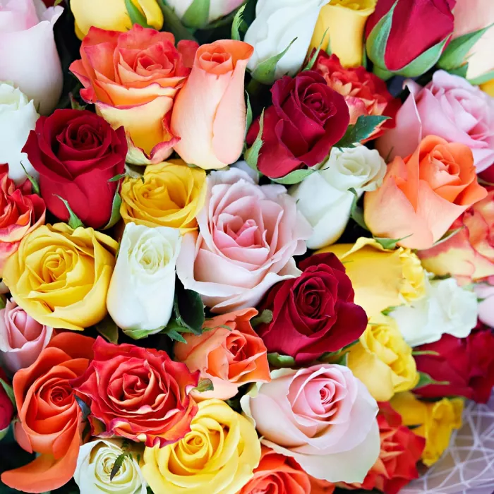 51 роза микс в стиле Magical