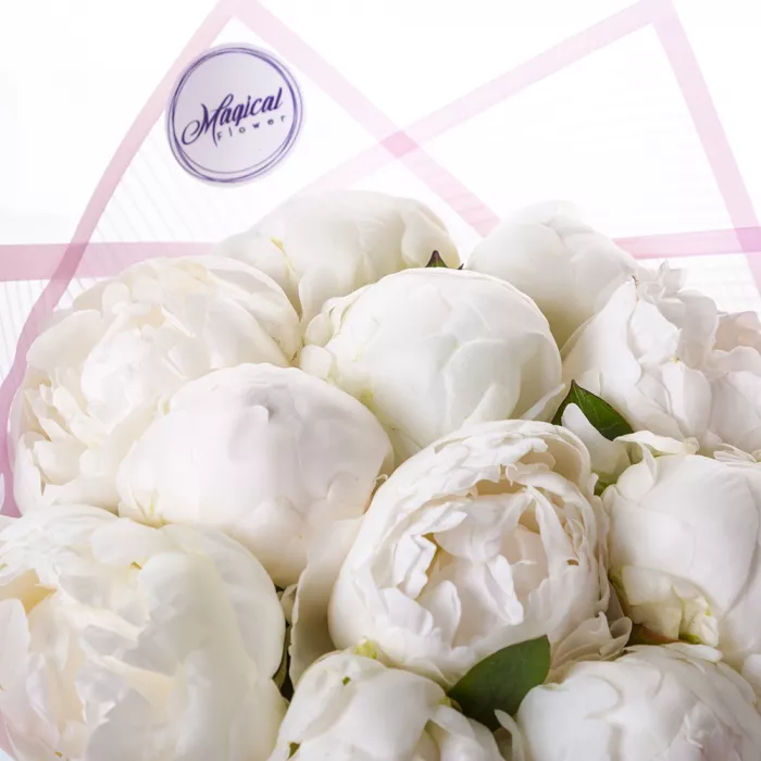 Букет из 11 белых пионов