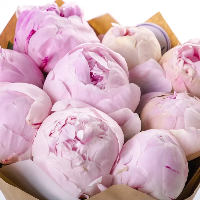 Букет из 9 розовых пионов