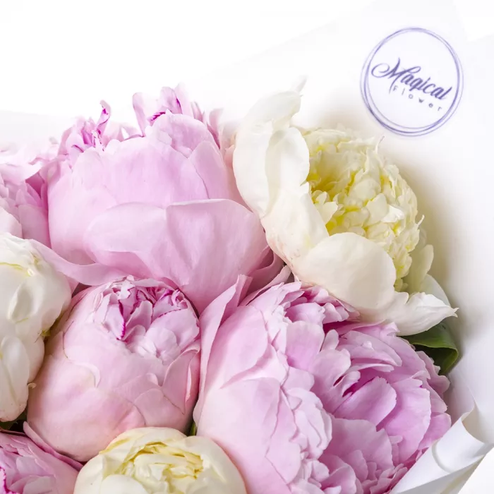 Букет из 13 разноцветных пионов