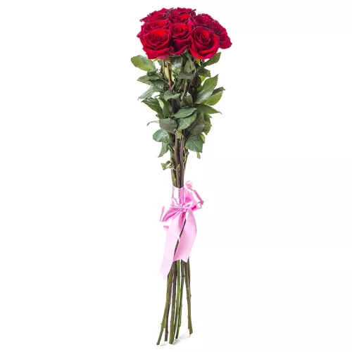 Букет из 11 высоких красных роз Эквадор 100 см