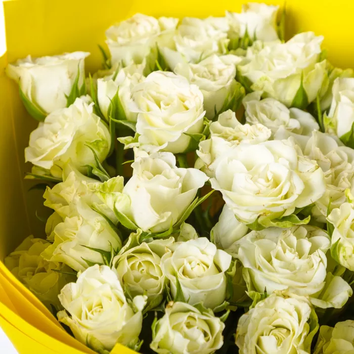 9 белых кустовых роз