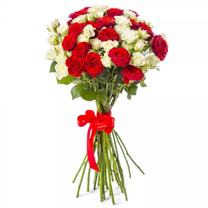 25 красно-белых кустовых роз