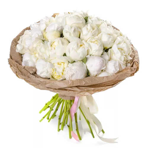 Букет цветов из 35 белых пионов