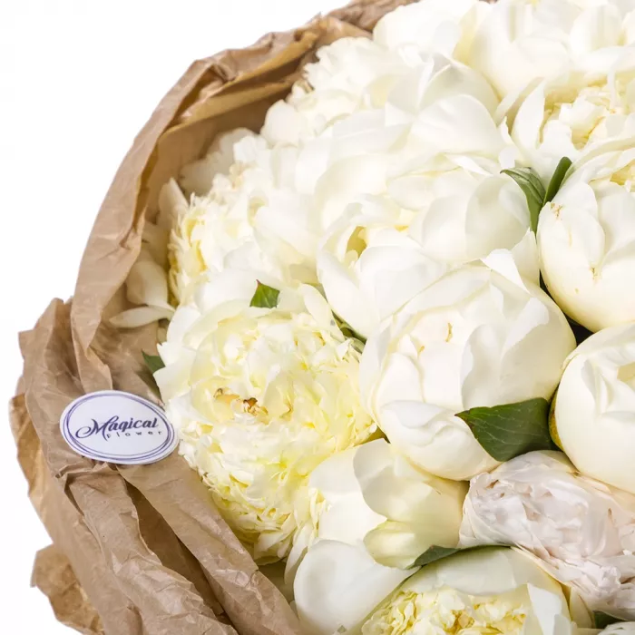 Букет из 35 белых пионов
