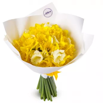 Букет из 25 нарциссов