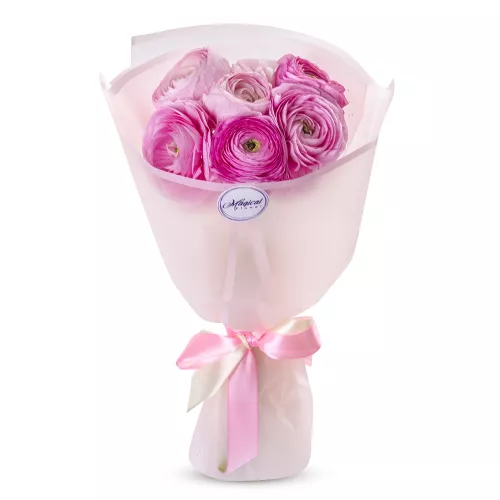 Букет из 7 розовых ранункулюсов