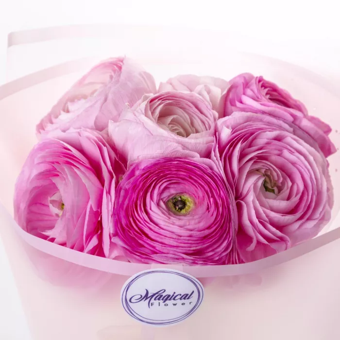 Букет из 7 розовых ранункулюсов