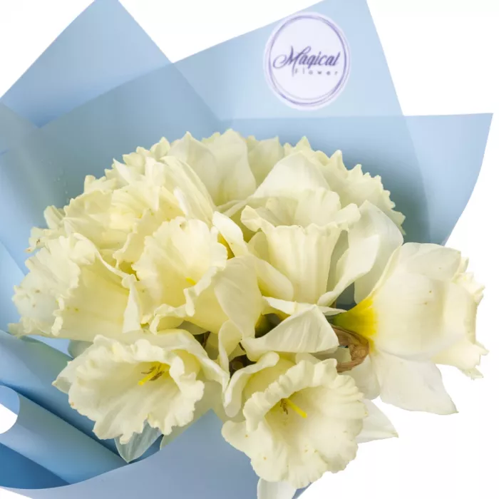 Букет из 11 белых нарциссов