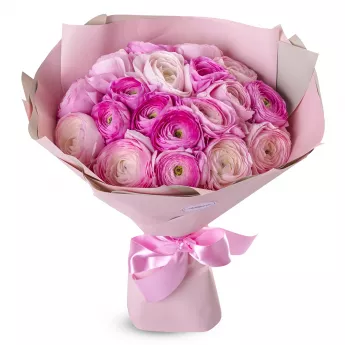 Букет из 21 розового ранункулюса