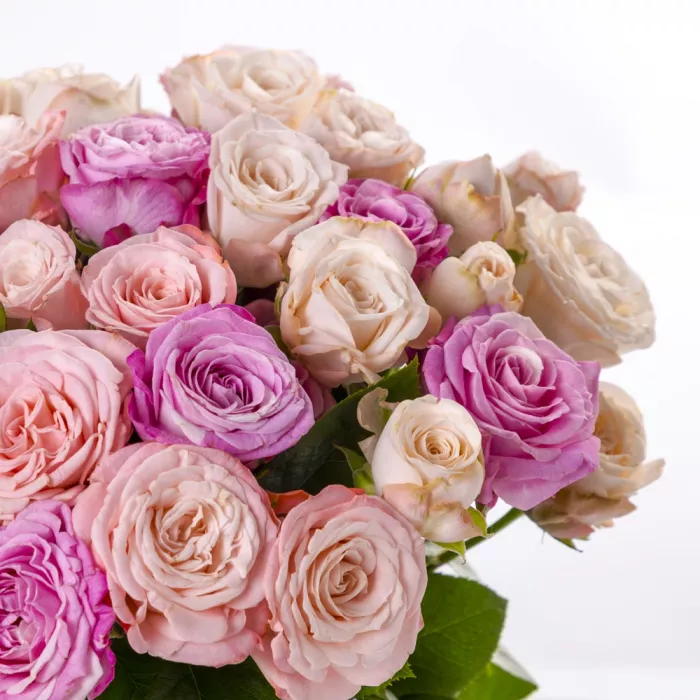 19 розовых кустовых роз