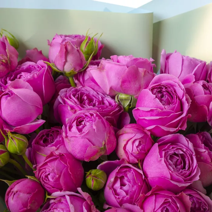 Букет из кустовой розы Мисти Баблс 15 шт