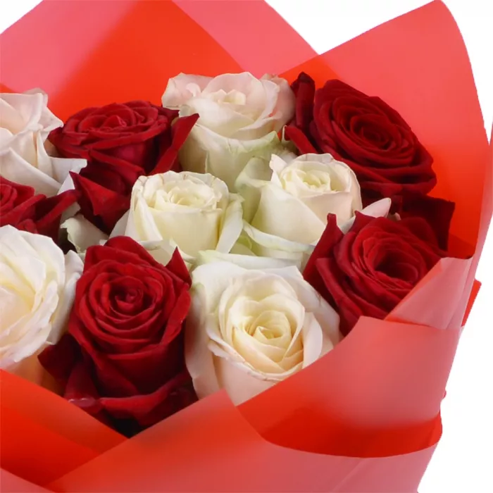 Букет из 11 красно-белых роз 50 см