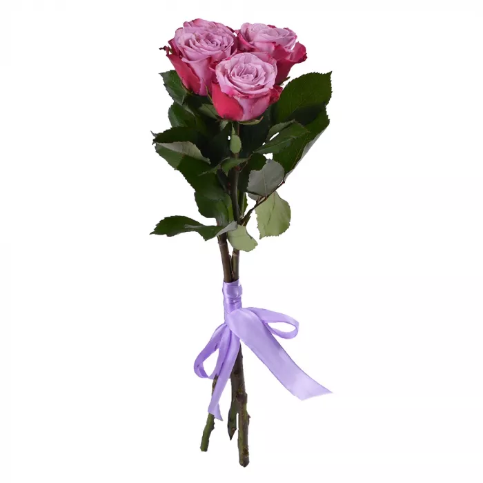 Букет из 3 сиреневых роз