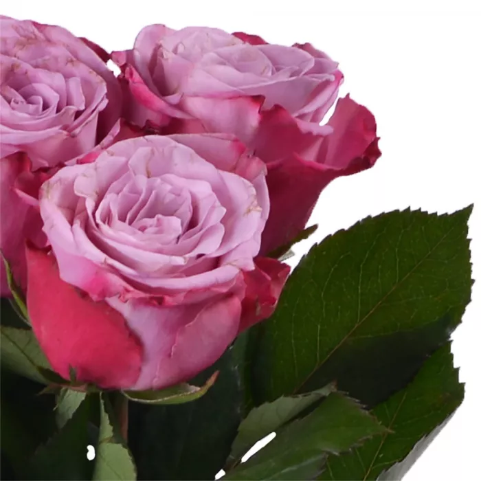 Букет из 3 сиреневых роз