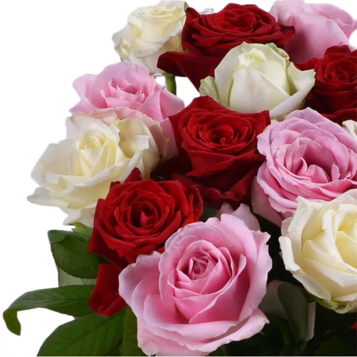 15 разноцветных роз 50 см