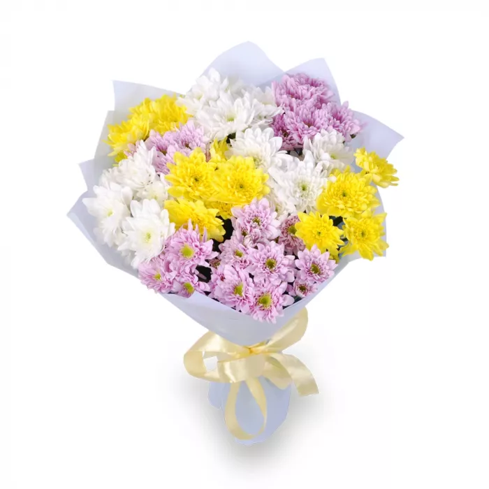 11 разноцветных хризантем