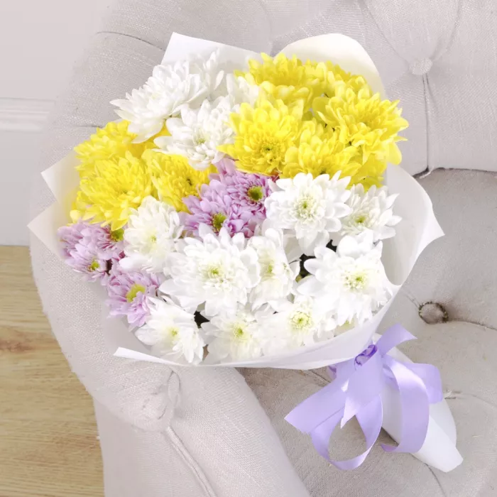 7 разноцветных хризантем