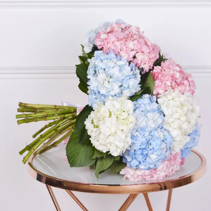 Букет из 15 Гортензий