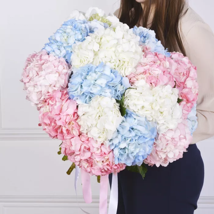 Букет из 15 Гортензий