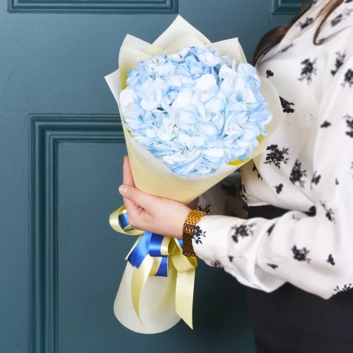 1 голубая гортензия