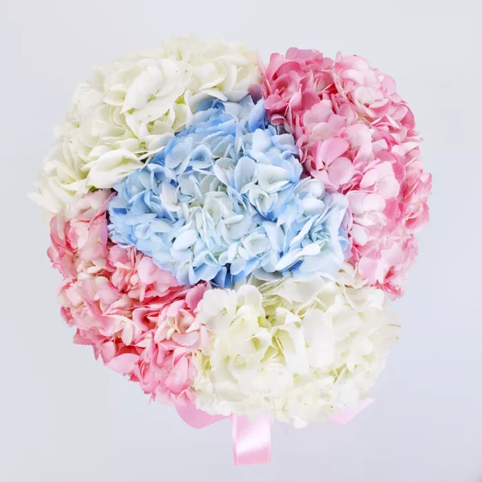 Шляпная коробка с букетом из 5 разноцветных гортензий