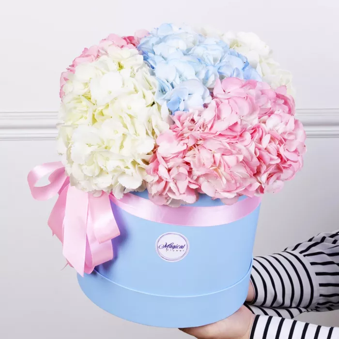 Шляпная коробка с букетом из 5 разноцветных гортензий